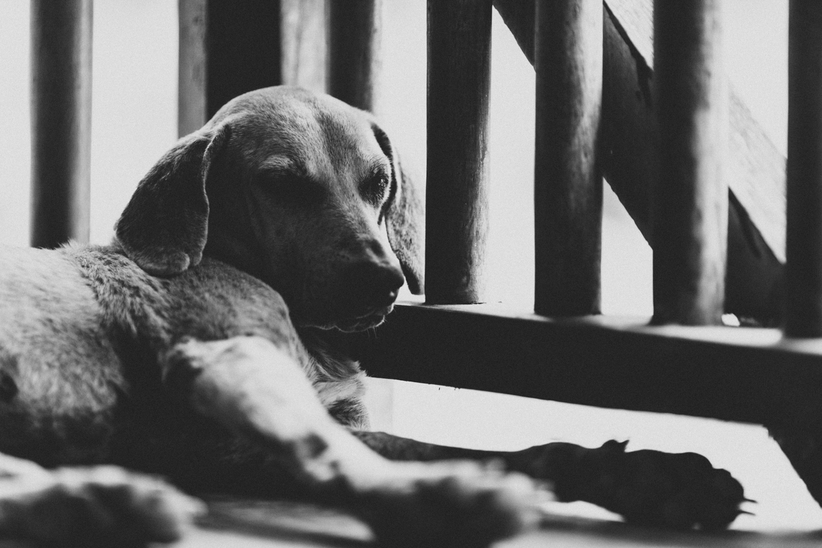 Ometepe Nicaragua Travel Photography (124)