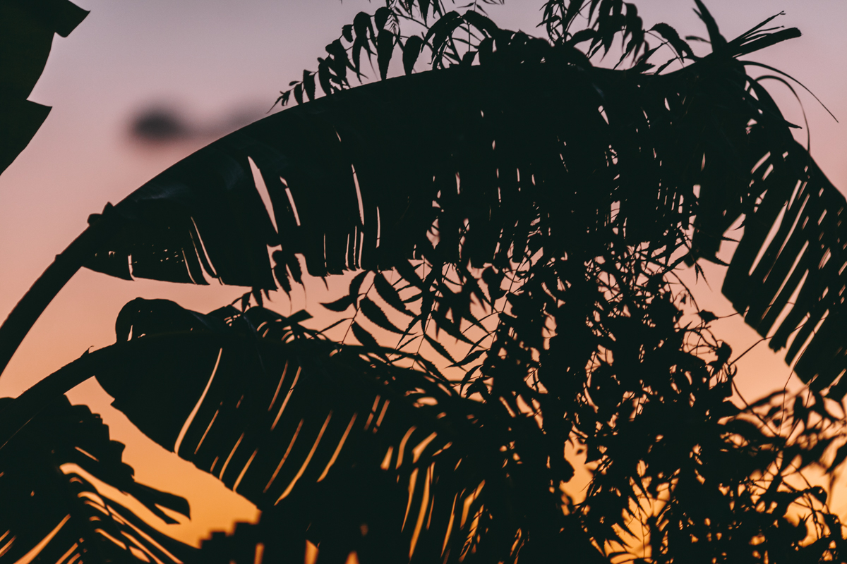 Ometepe Nicaragua Travel Photography (44)