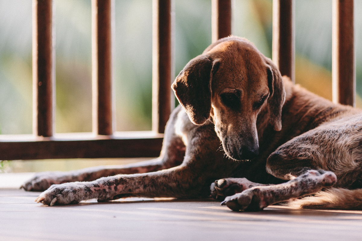 Ometepe Nicaragua Travel Photography (46)