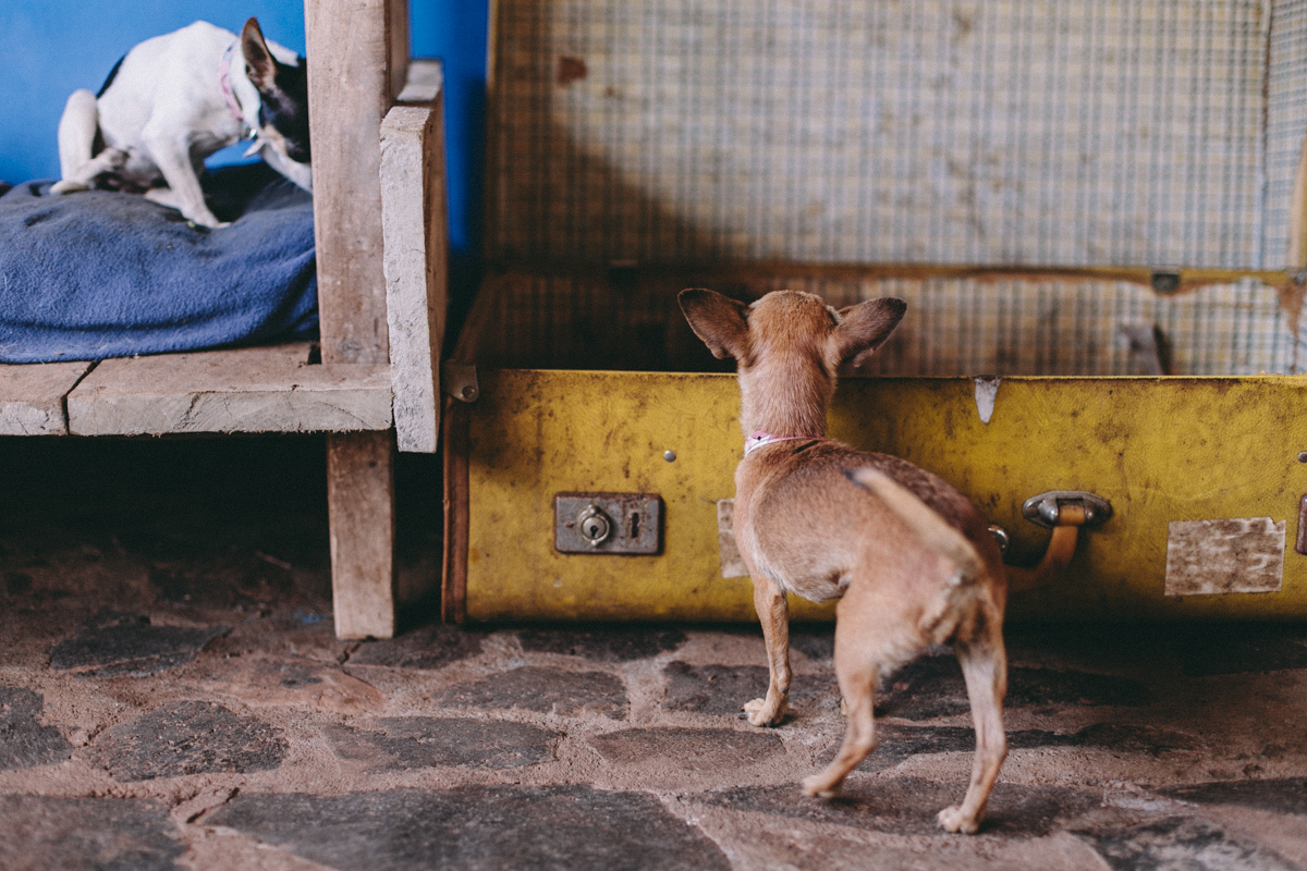 Ometepe Nicaragua Travel Photography (54)