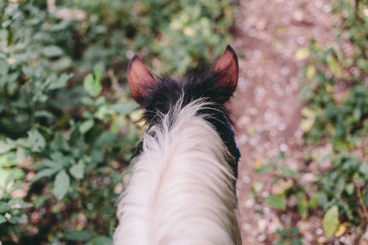 Ometepe Nicaragua Travel Photography (56)