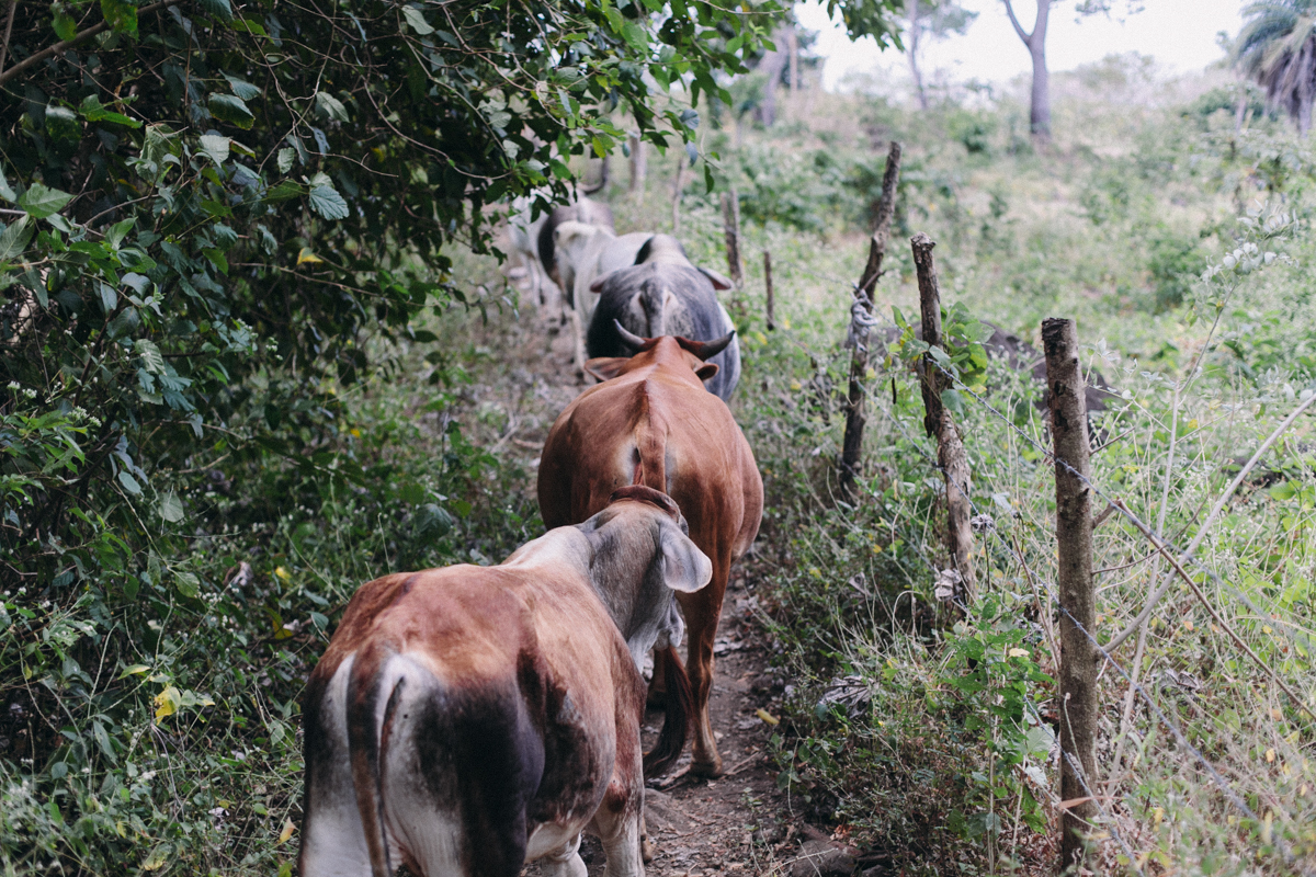 Ometepe Nicaragua Travel Photography (88)