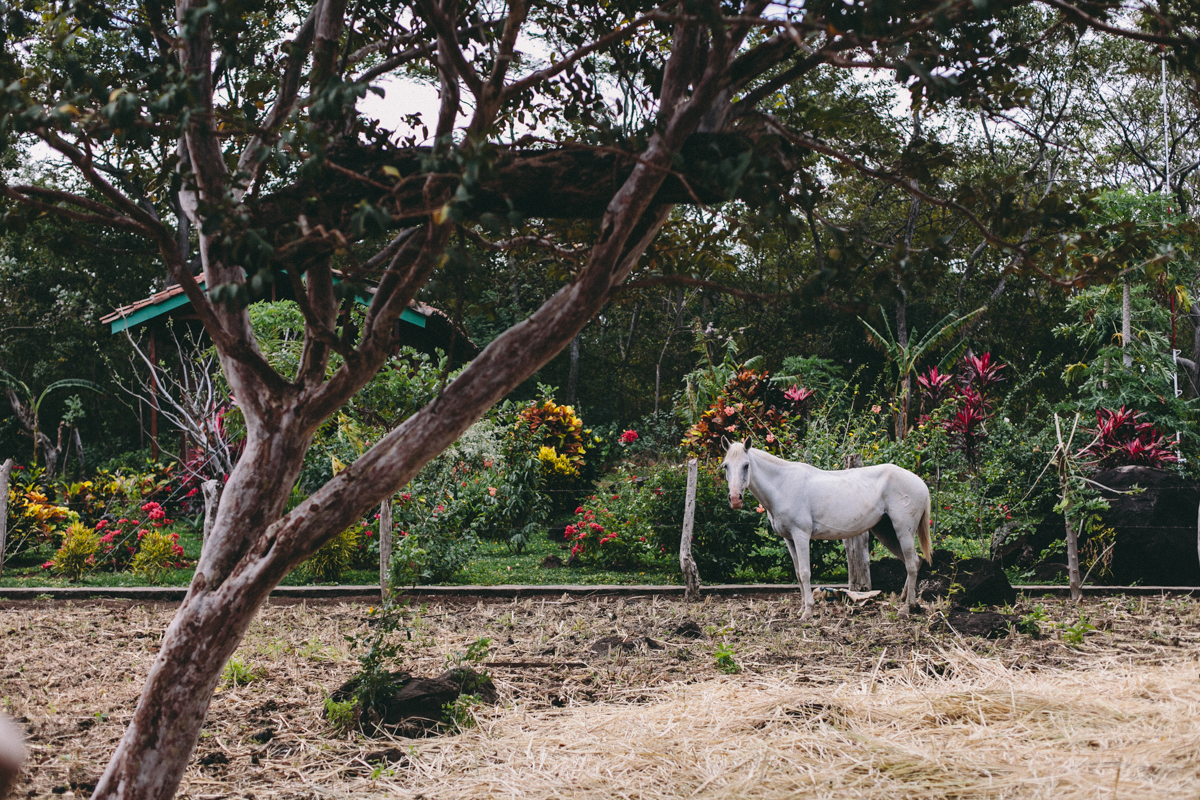 Ometepe Nicaragua Travel Photography (96)