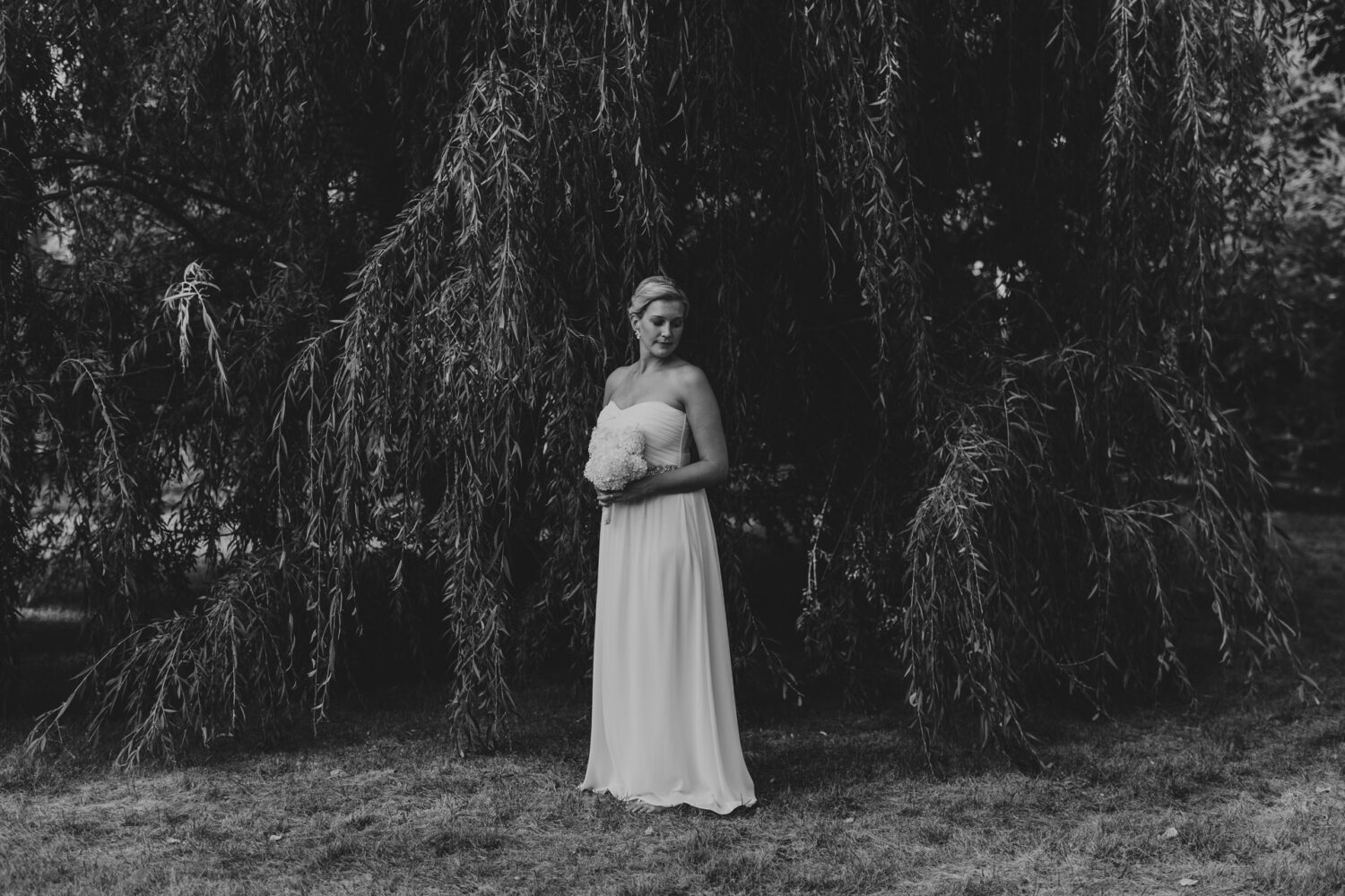Black and white photo of bride standing under a willow tree