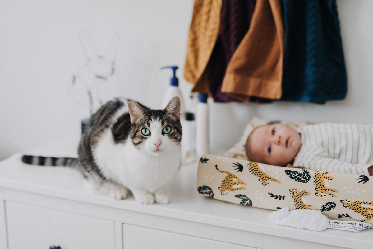 Ottawa In Home Newborn Photographer (12)