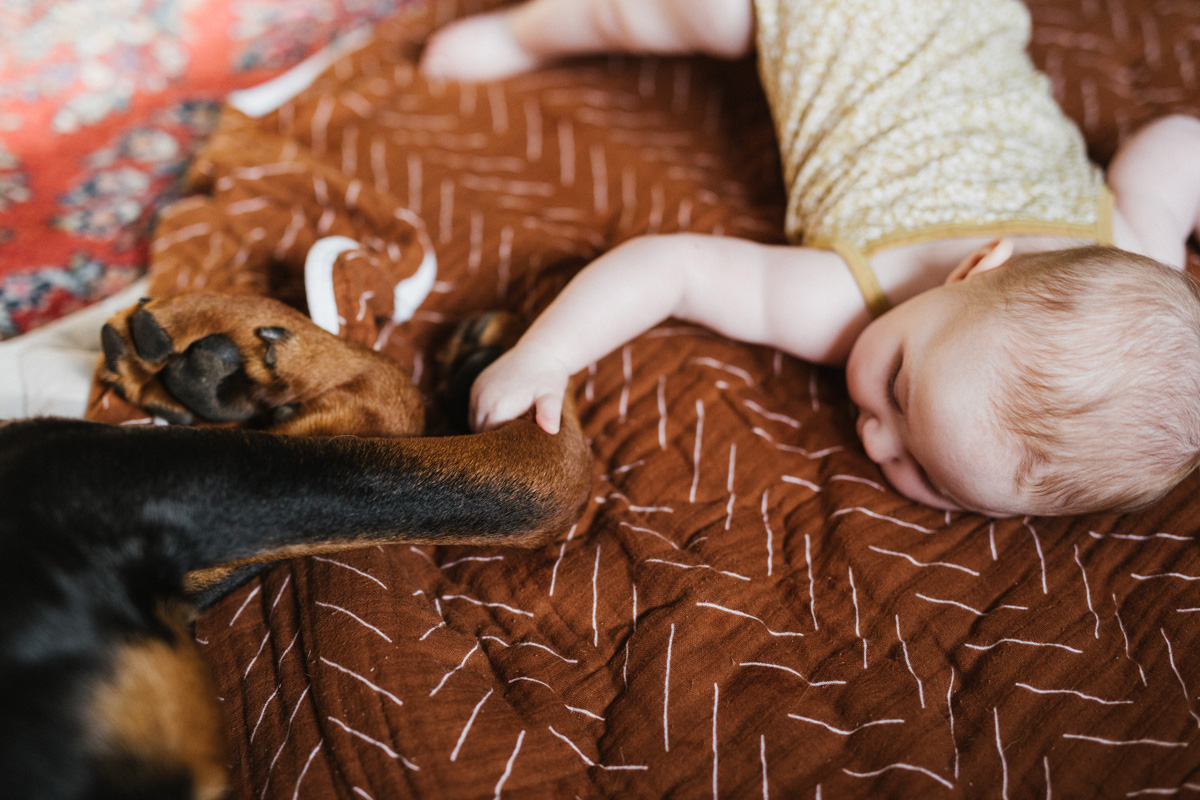 Ottawa In Home Newborn Photographer (31)