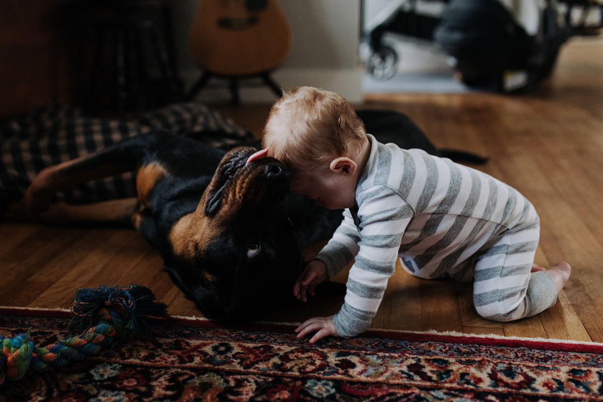 Ottawa In Home Newborn Photographer (38)