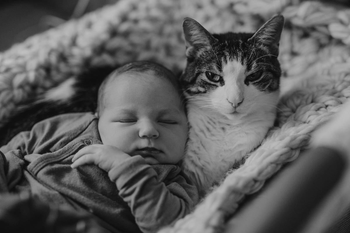 Ottawa In Home Newborn Photographer (4)