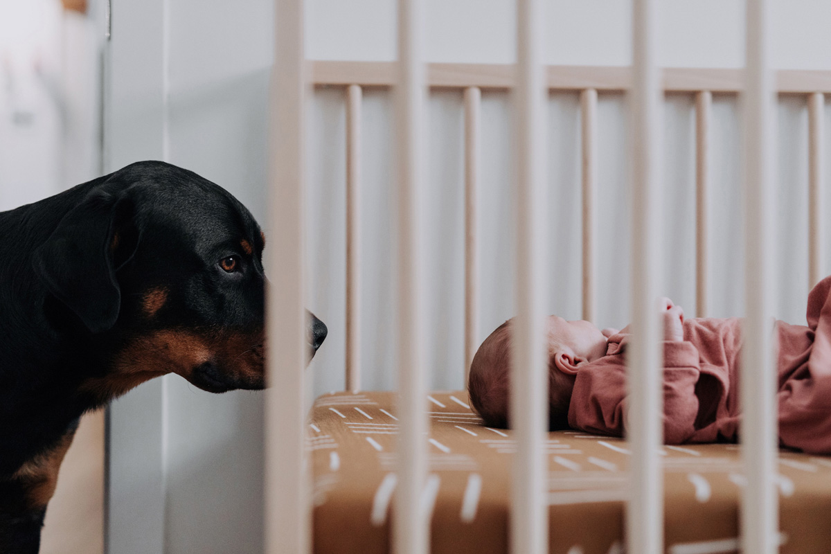 Ottawa In Home Newborn Photographer (5)