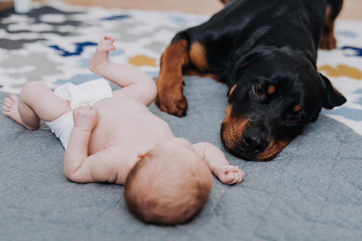 Ottawa In Home Newborn Photographer (9)