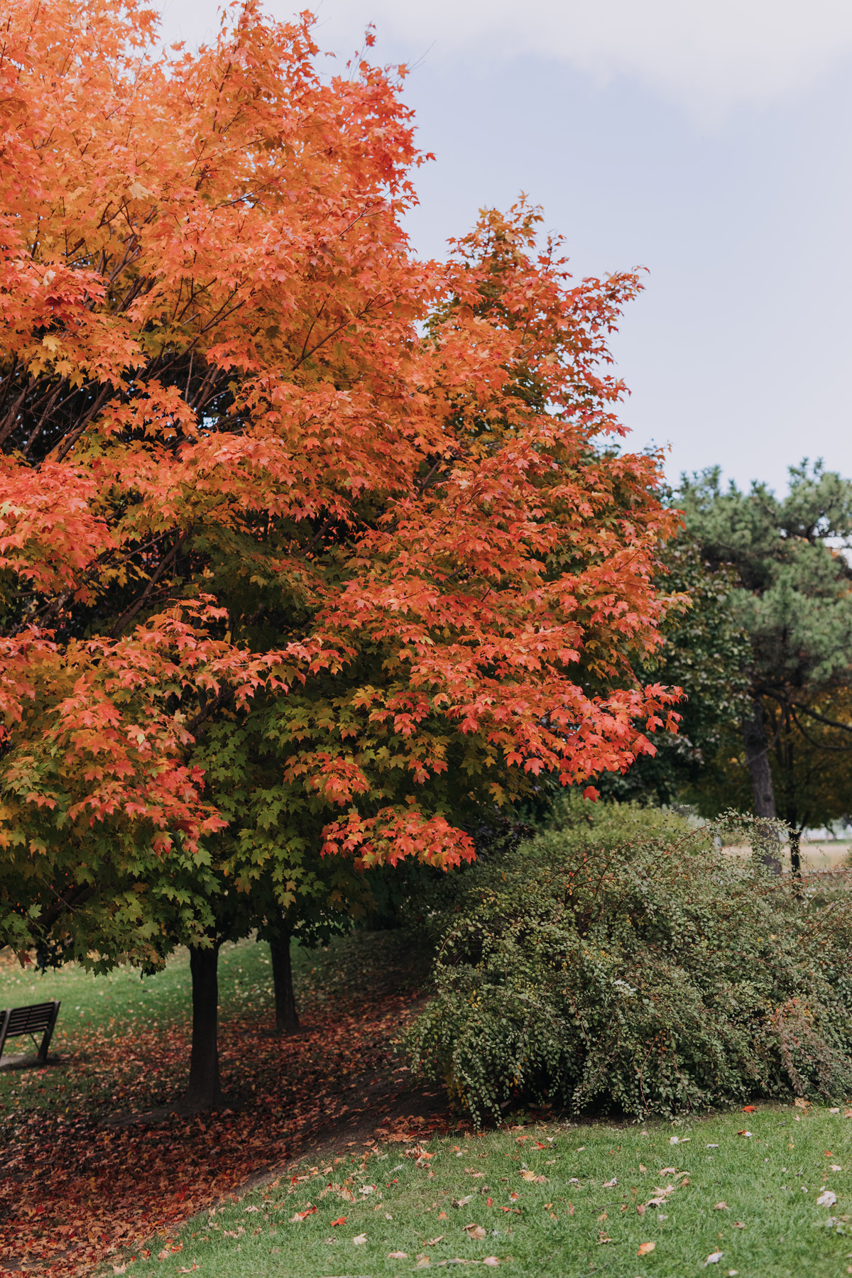 Ottawa Wedding At Side Door Restaurant In The Market (1)