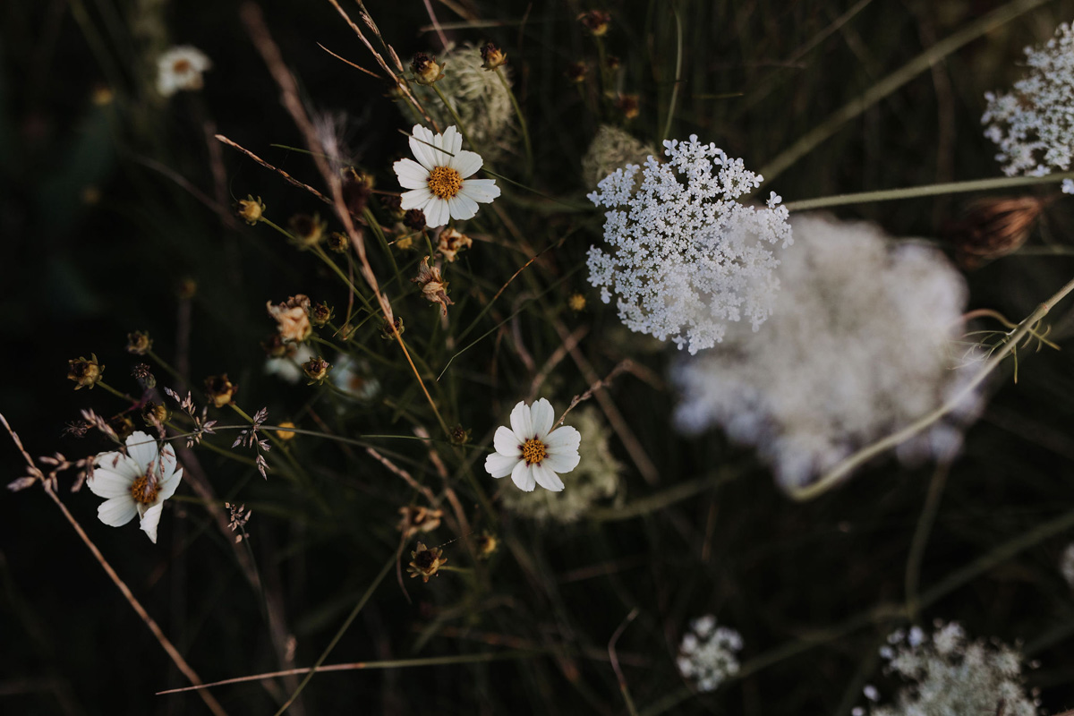 PEC Wedding 100 Acre Wood Prince Edward Country