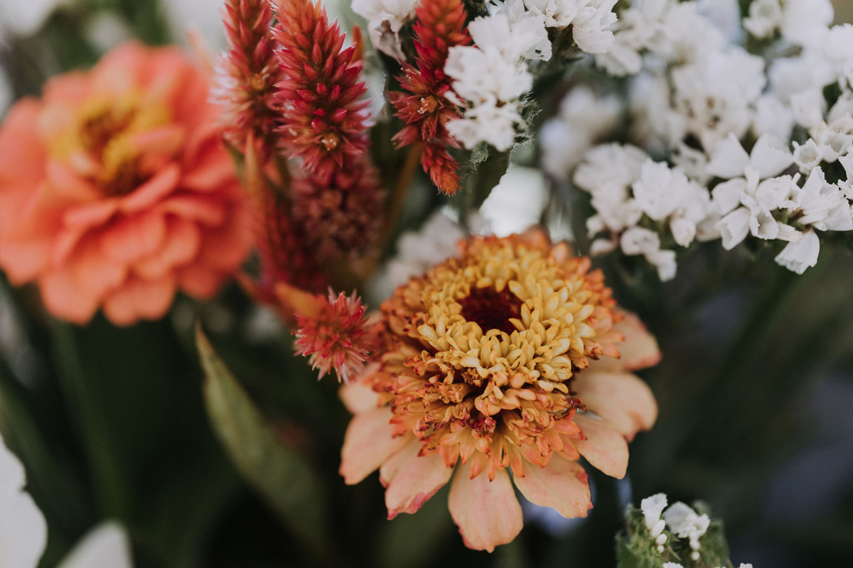 PEC Wedding 100 Acre Wood Prince Edward Country