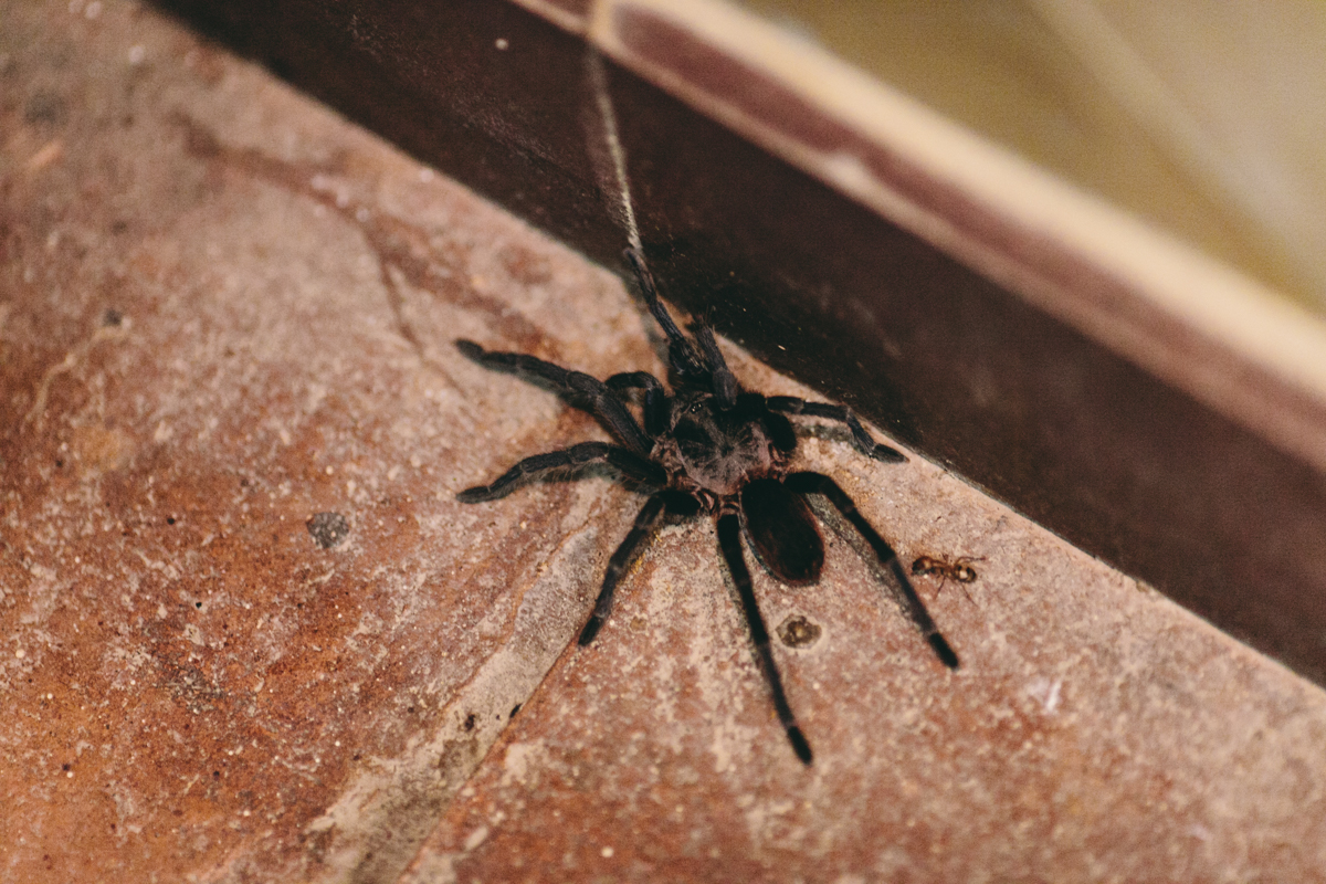 Playa El Coco Nicaragua San Juan Del Sur Travel Photography (32)