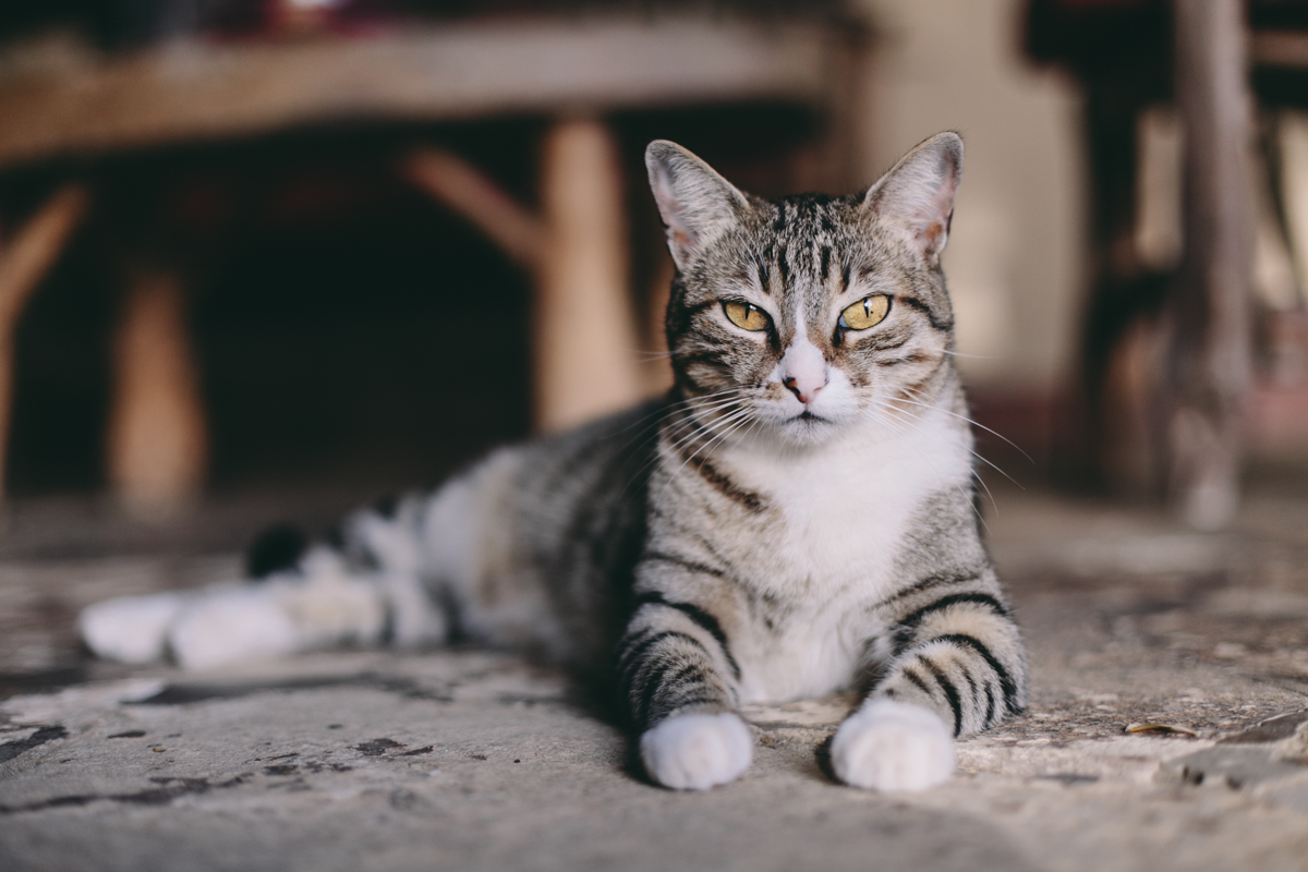 Playa El Coco Nicaragua San Juan Del Sur Travel Photography (7)