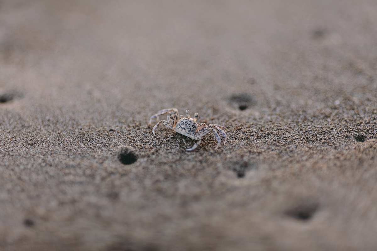 Playa El Coco Nicaragua San Juan Del Sur Travel Photography (78)