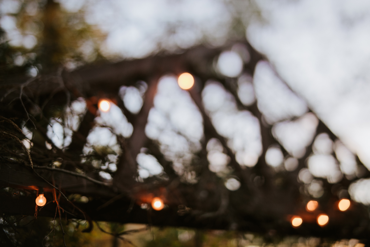 Romantic Forest Wedding In Gatineau Park (116)
