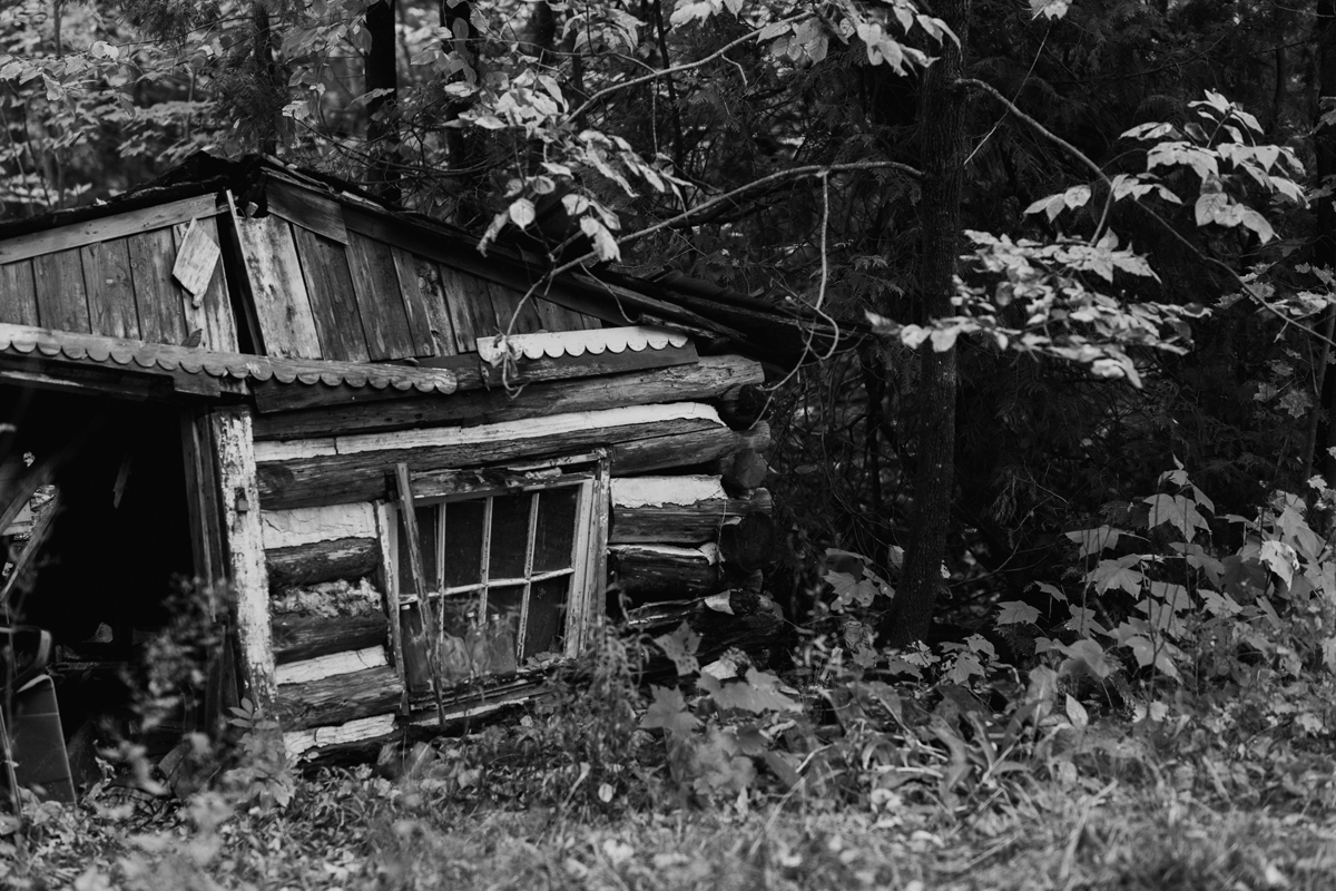Romantic Forest Wedding In Gatineau Park (19)