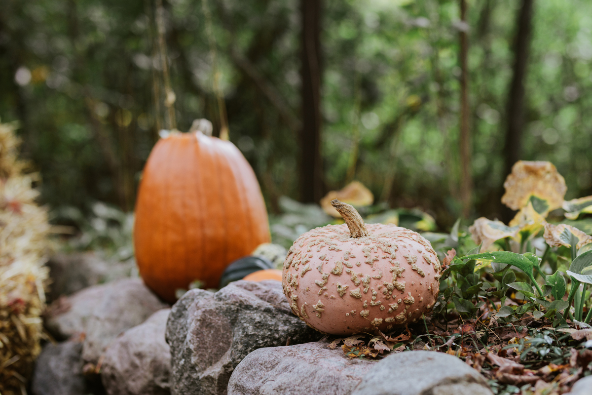 Romantic Forest Wedding In Gatineau Park (60)