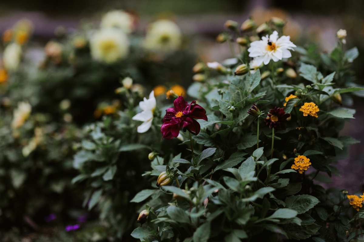 Romantic Forest Wedding In Gatineau Park (89)