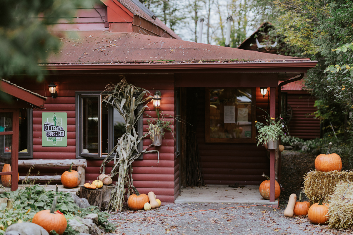 Romantic Forest Wedding In Gatineau Park (90)