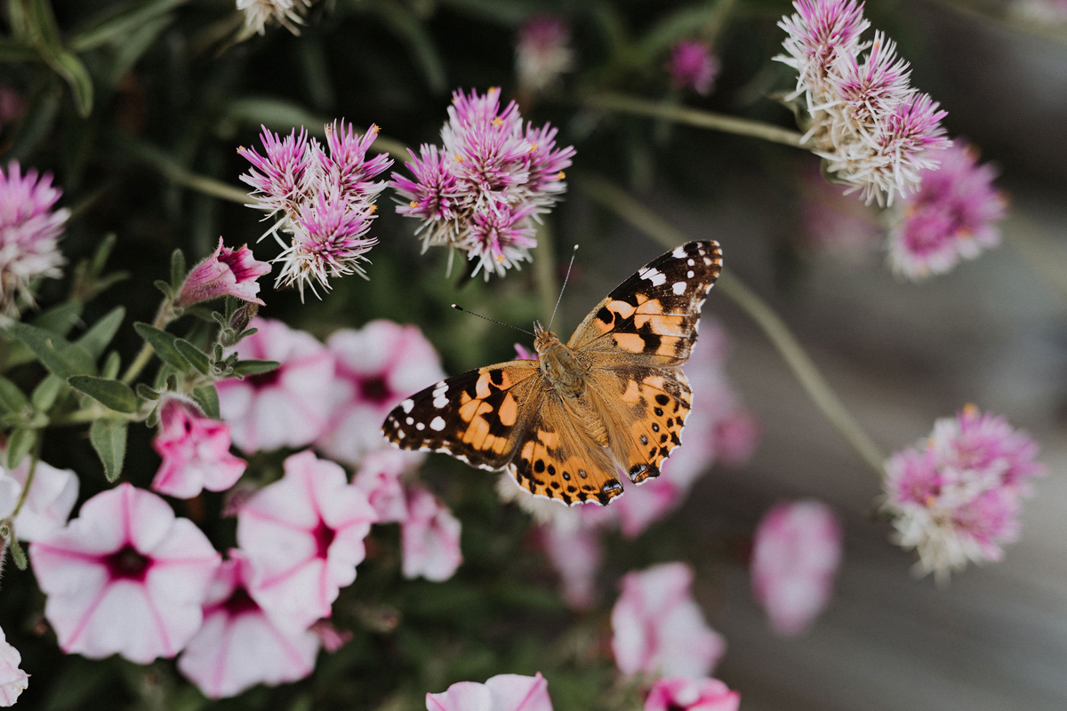 Stonefields Estate Wedding - Ottawa