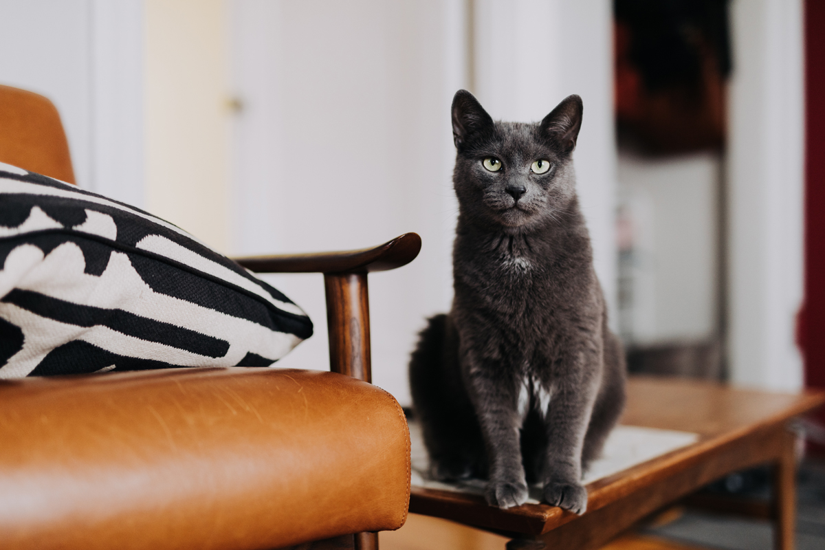 In Home Engagement Photos Ottawa (11)