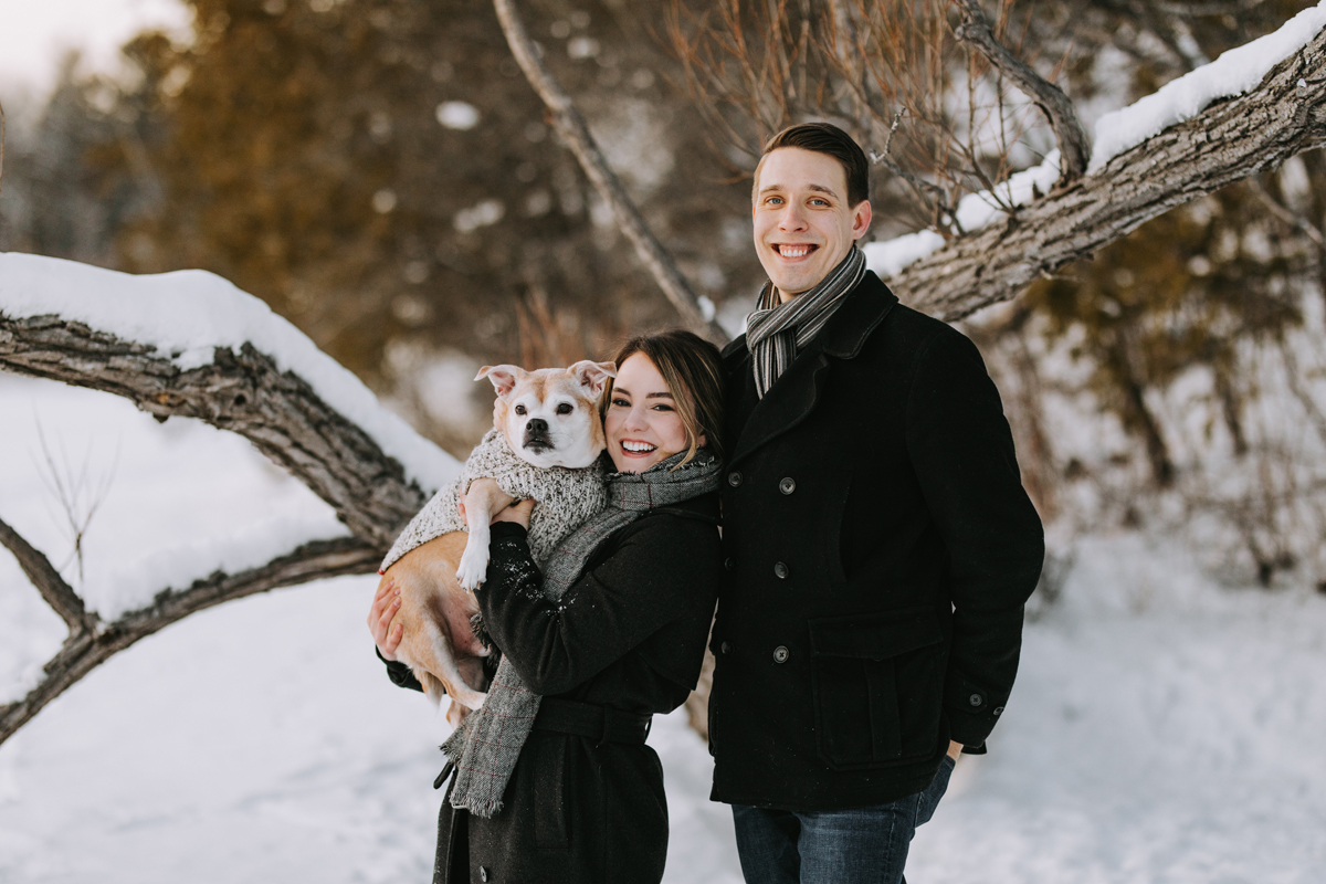 Ottawa Dog Photography In Gatineau Park (14)