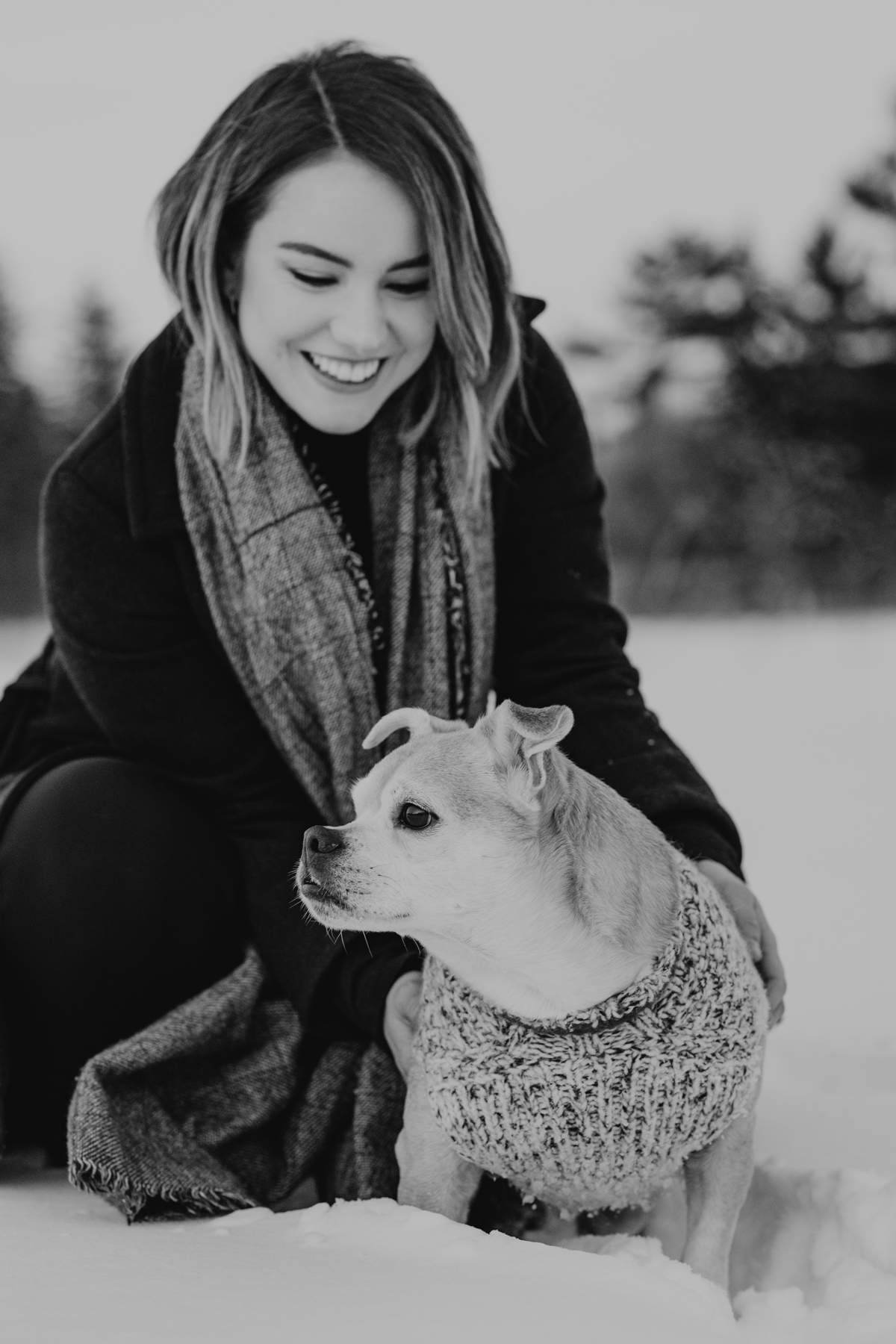 Ottawa Dog Photography In Gatineau Park (19)