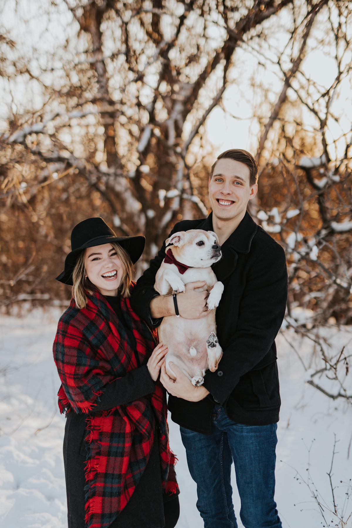 Ottawa Dog Photography In Gatineau Park (2)