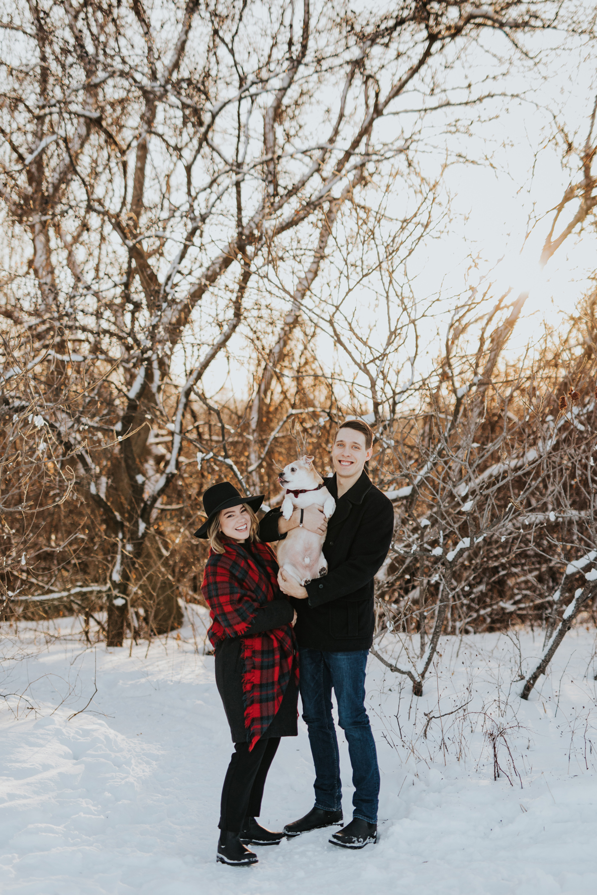 Ottawa Dog Photography In Gatineau Park (3)