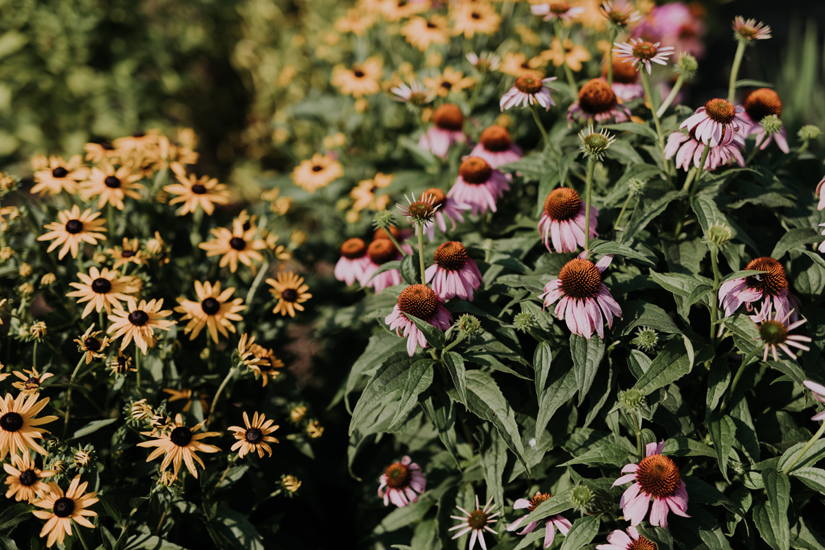 Adelina Barn Venue Gatineau (49)
