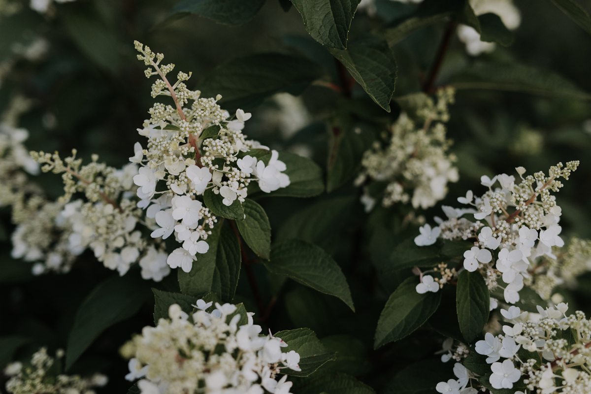 Adelina Barn Venue Gatineau (78)