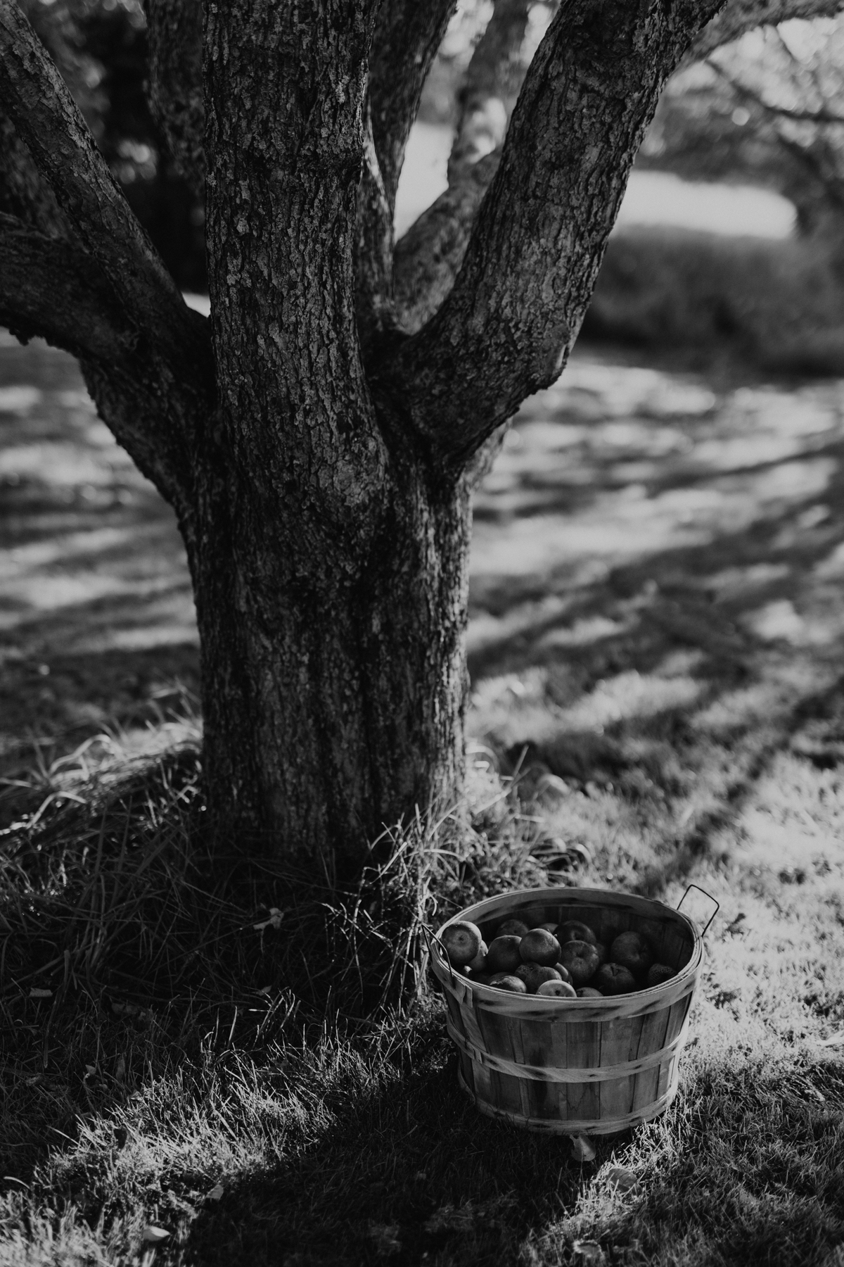 Herb Garden Almonte Fall Wedding (20)