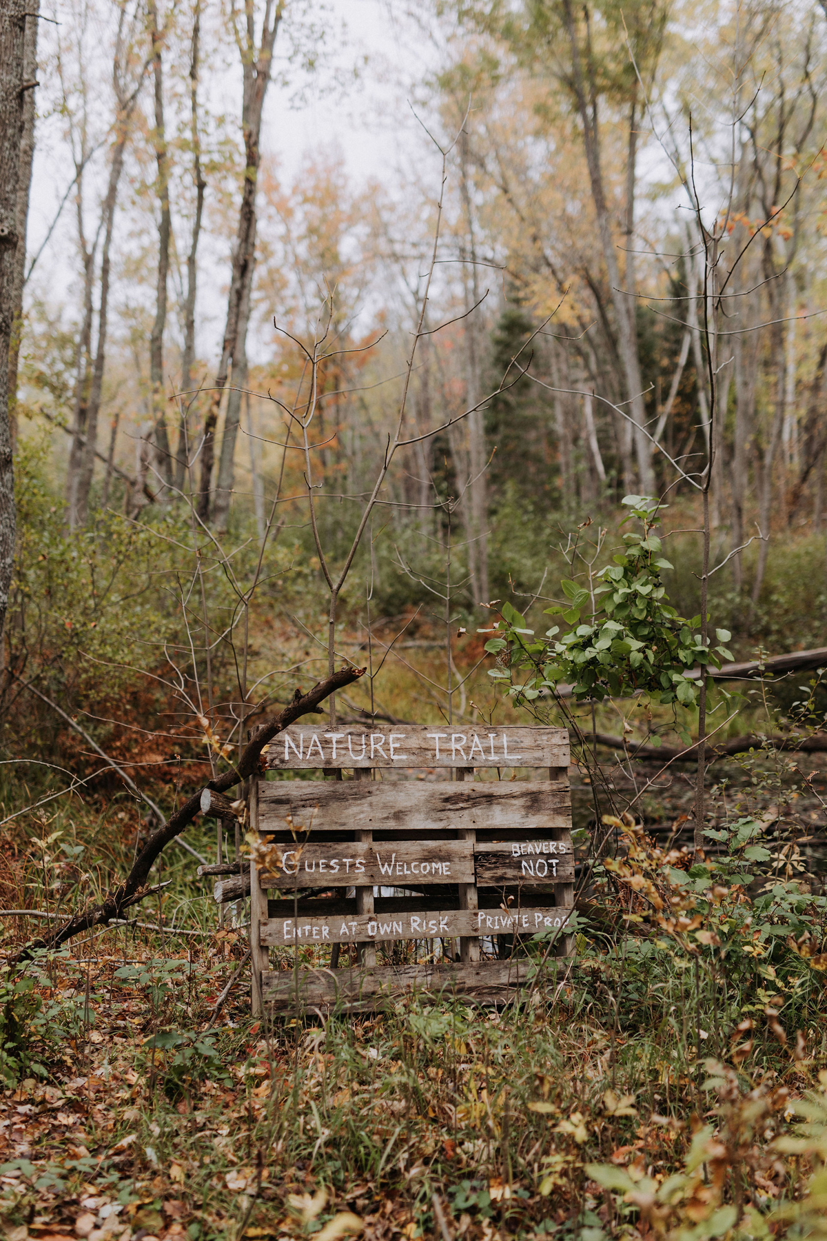 Intimate Cottage Wedding Photography Ottawa (1)
