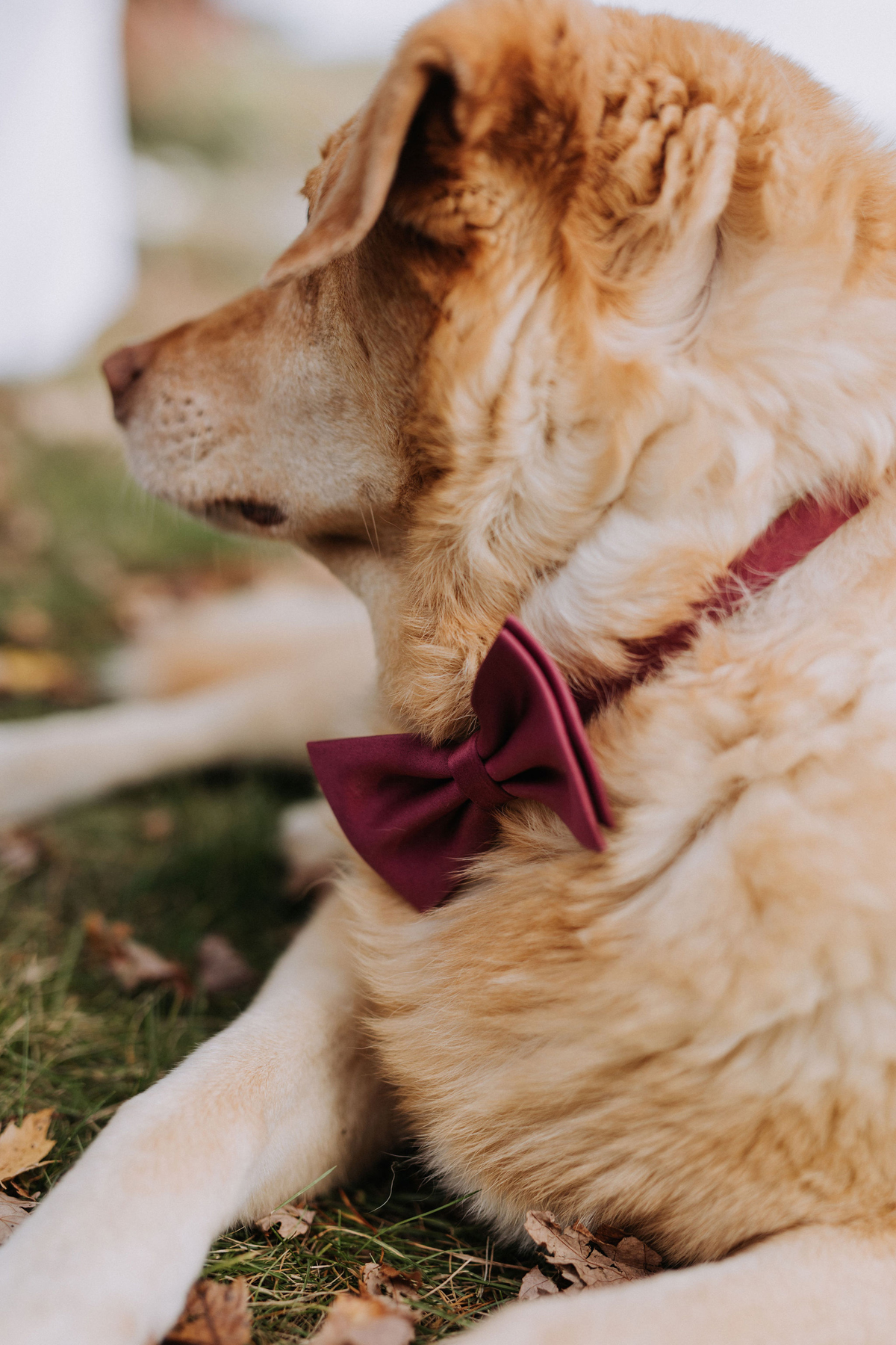 Intimate Cottage Wedding Photography Ottawa (109)