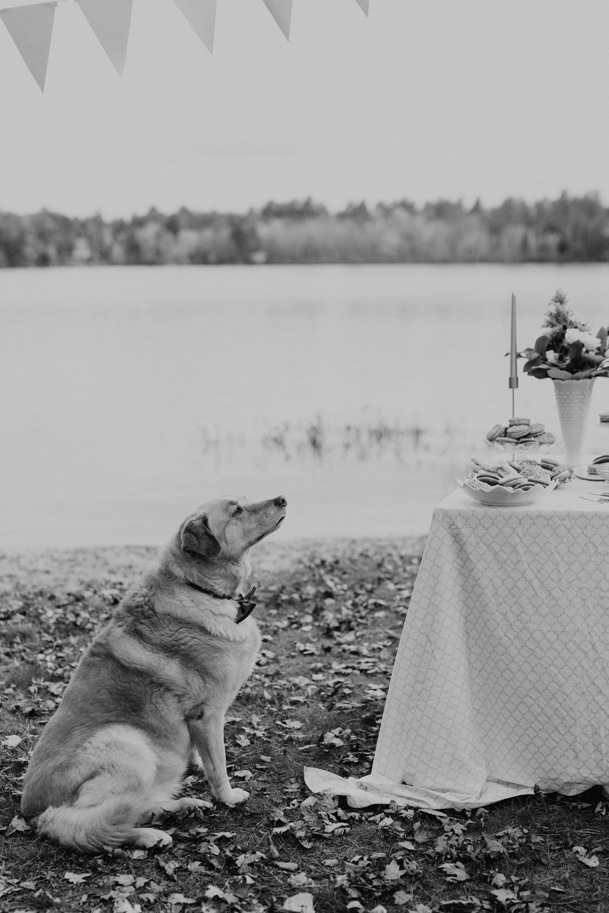 Intimate Cottage Wedding Photography Ottawa (124)