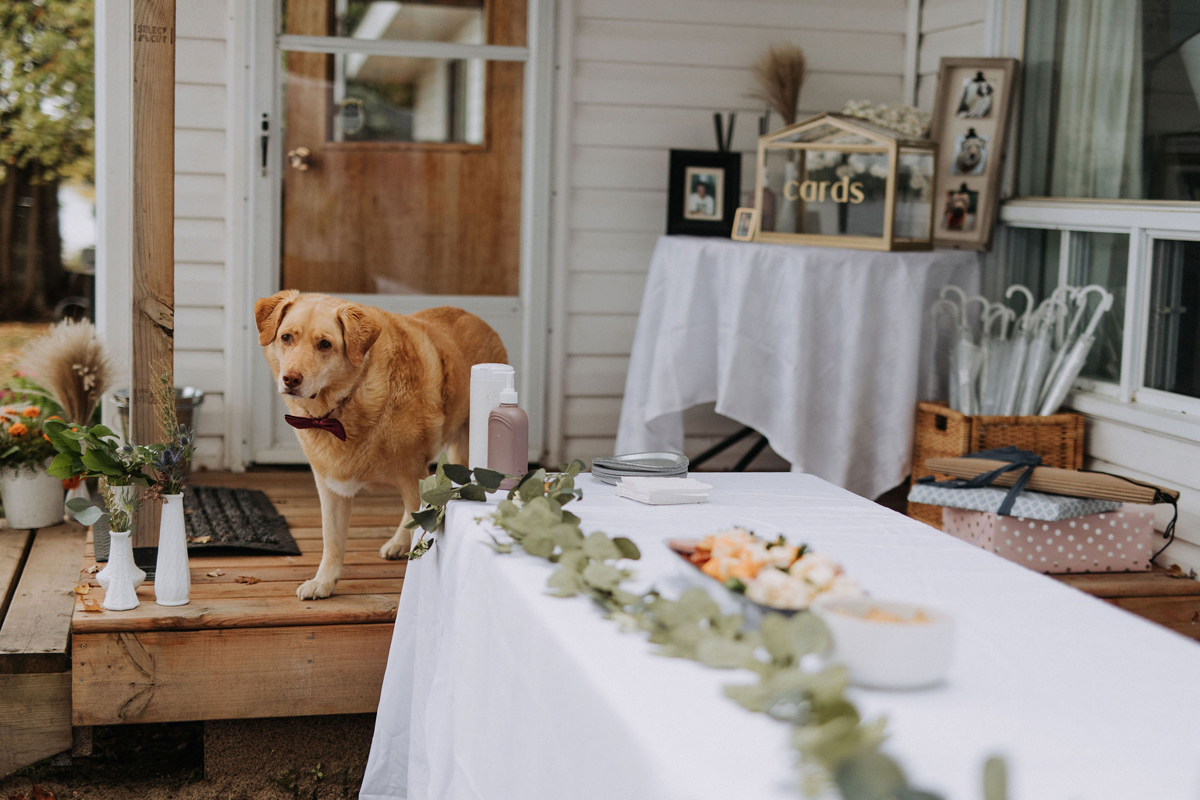 Intimate Cottage Wedding Photography Ottawa (41)