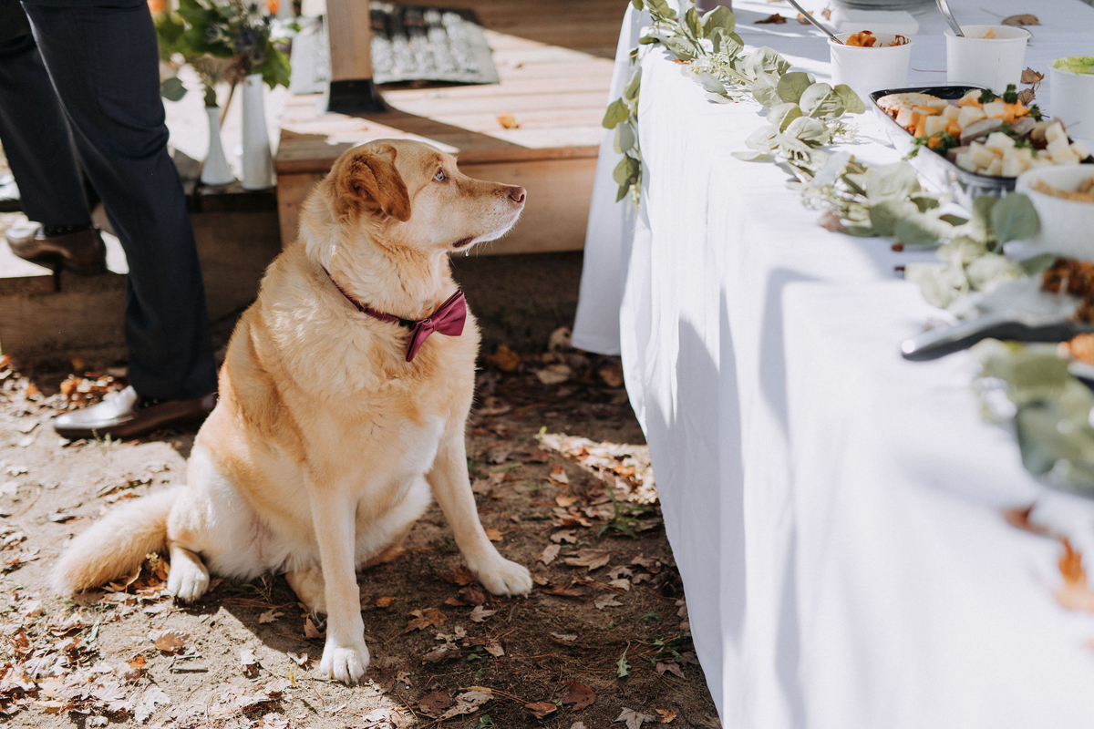 Intimate Cottage Wedding Photography Ottawa (63)