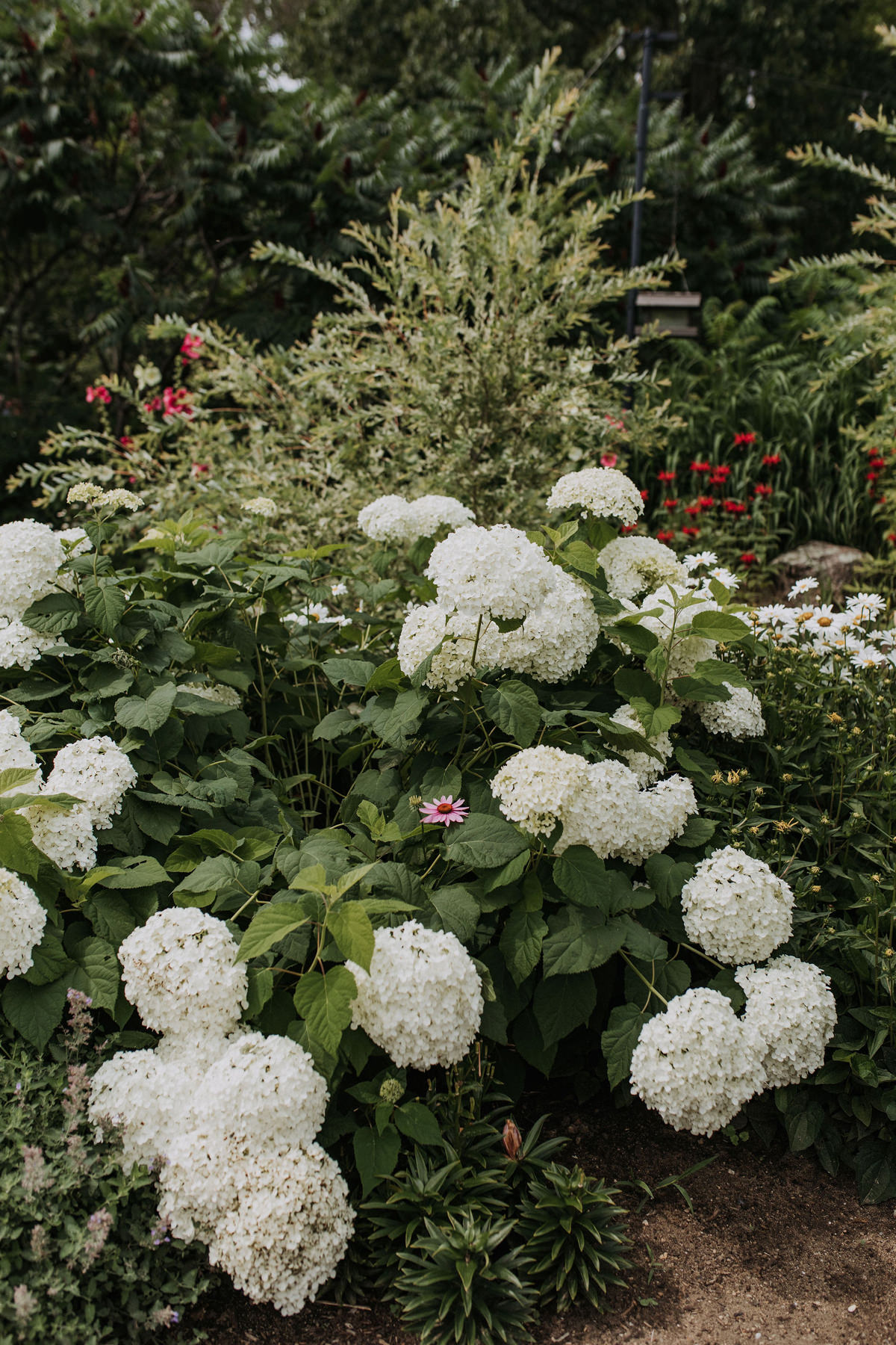 Adelina Barn Gatineau Wedding Photography (13)