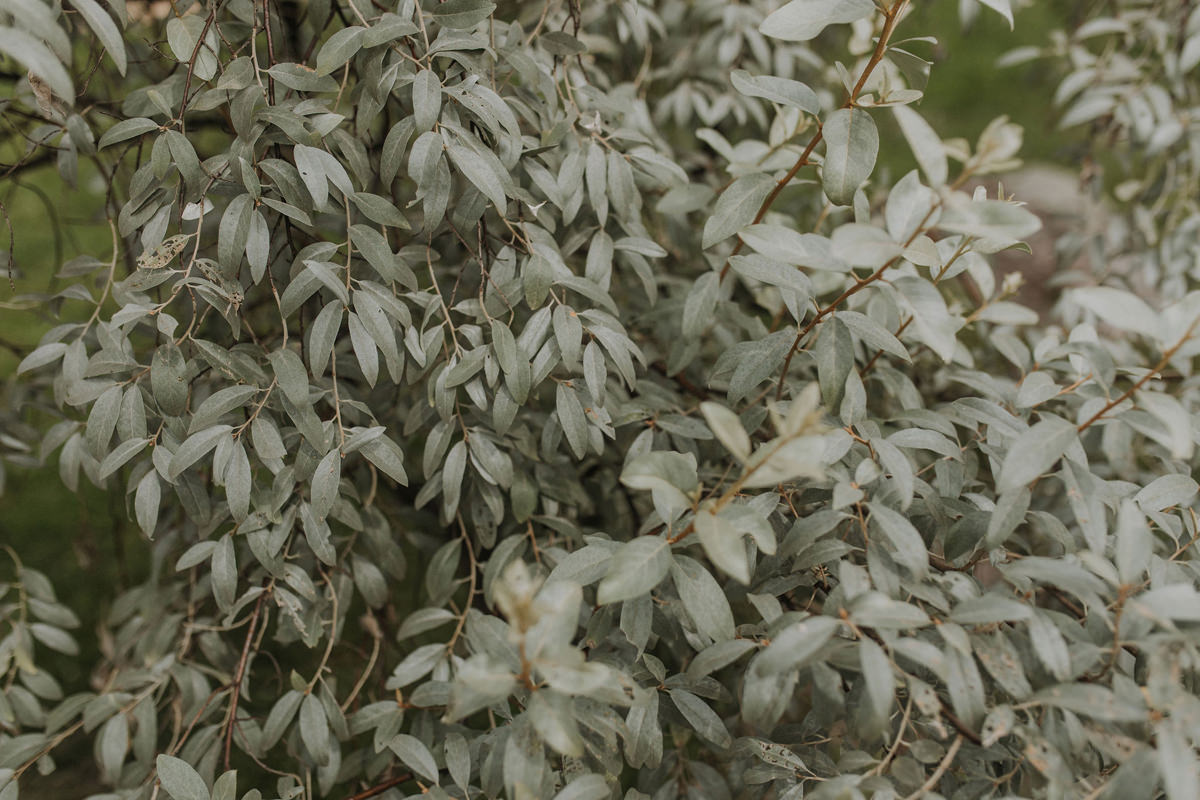 Adelina Barn Gatineau Wedding Photography (15)