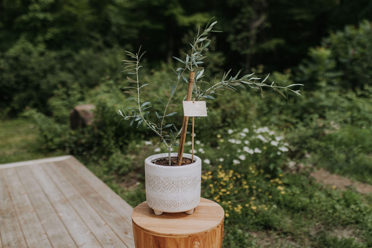 Adelina Barn Gatineau Wedding Photography (3)