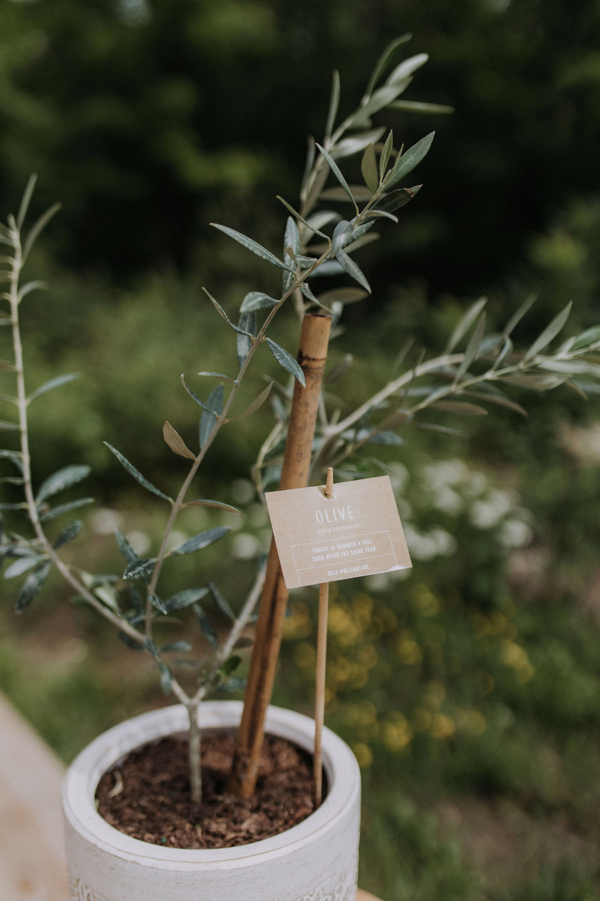 Adelina Barn Gatineau Wedding Photography (4)