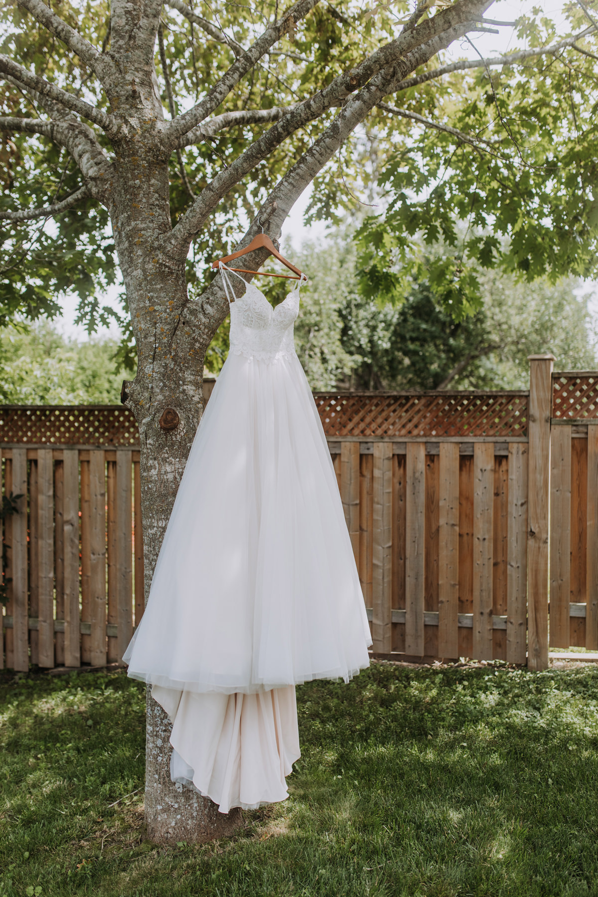 Stanley's Olde Maple Lane Farm Wedding Photography (5)