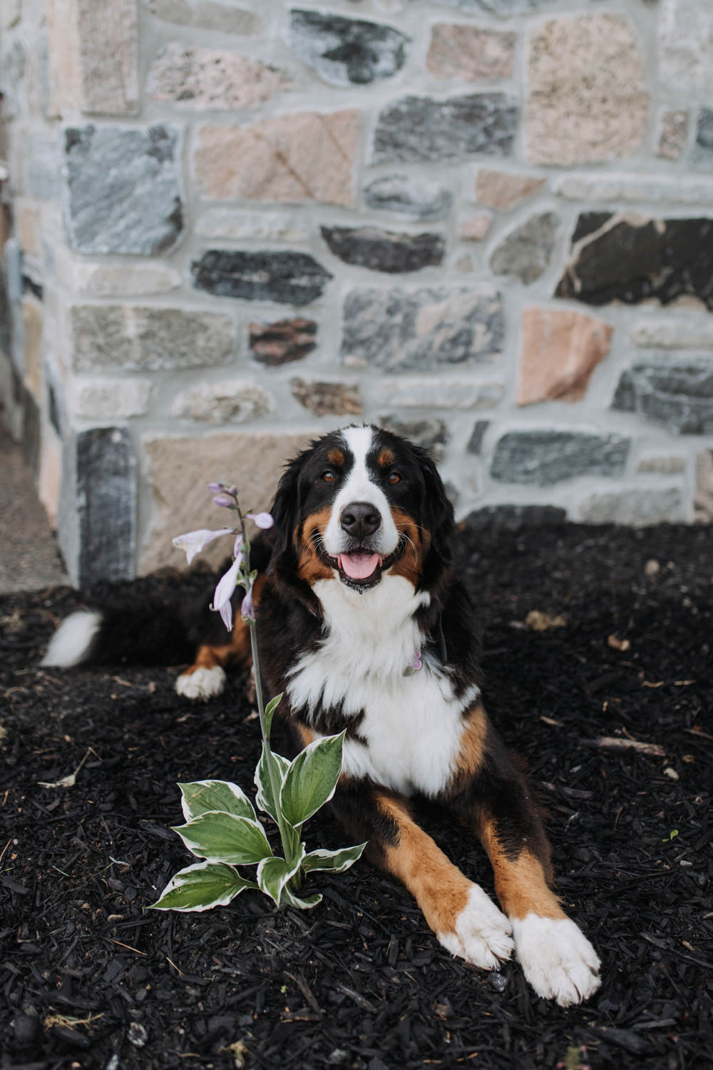 Farm Wedding Photographer Peterborough Ontario (23)