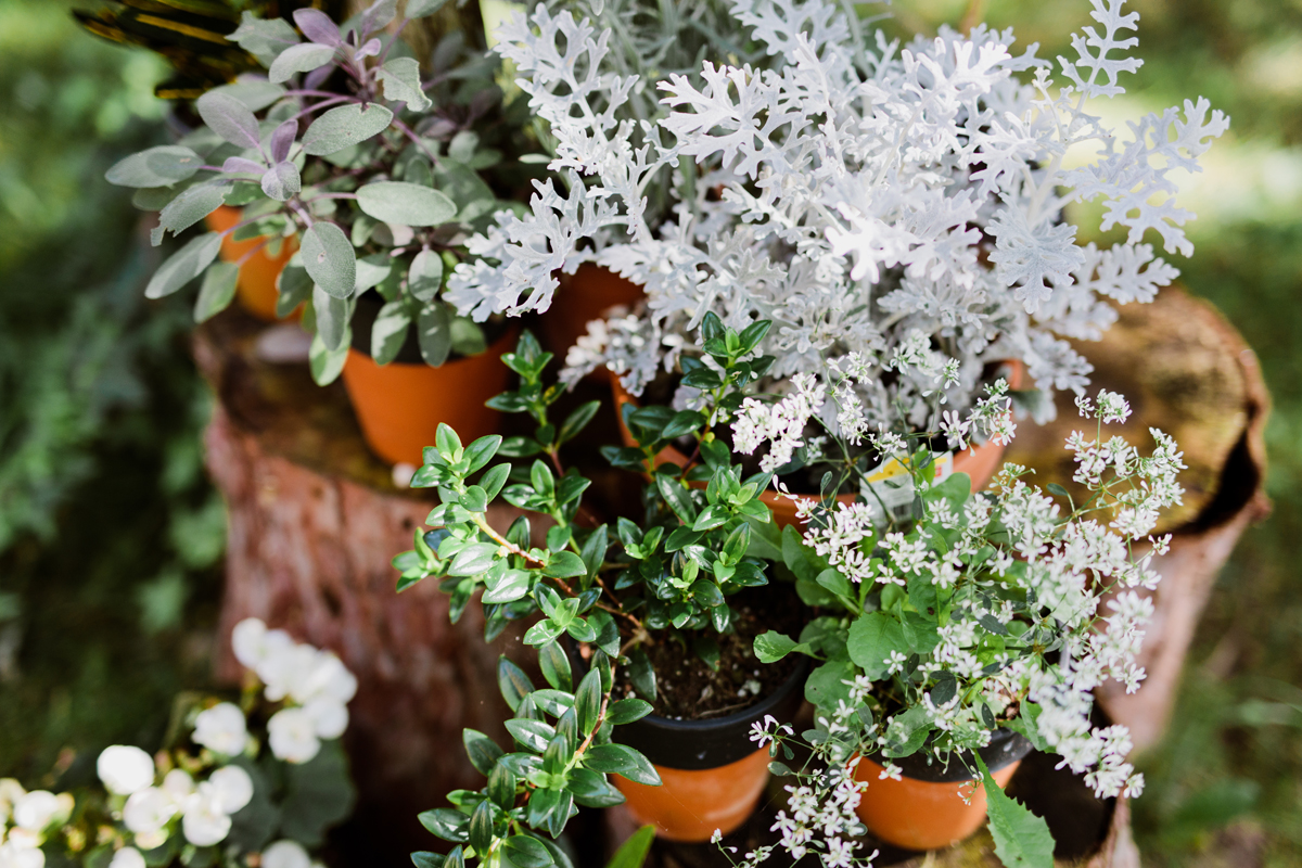 Youngs Point Cottage Wedding Ontario Clear Lake (104)