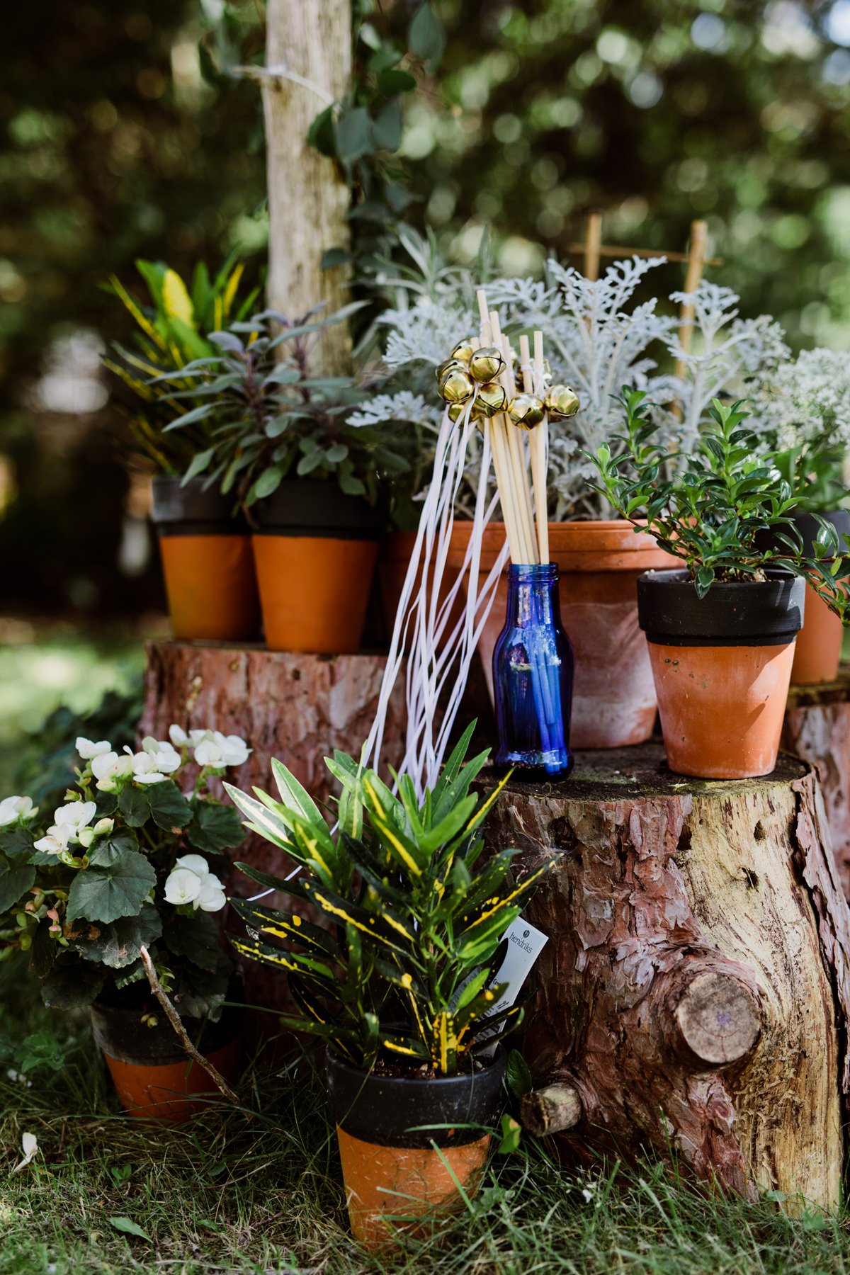 Youngs Point Cottage Wedding Ontario Clear Lake (107)