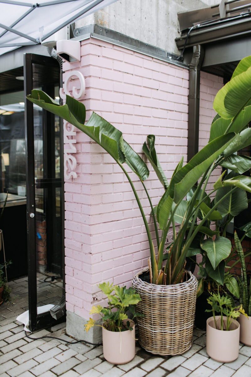 Ottawa Restaurant Wedding Gitanes Elgin Street