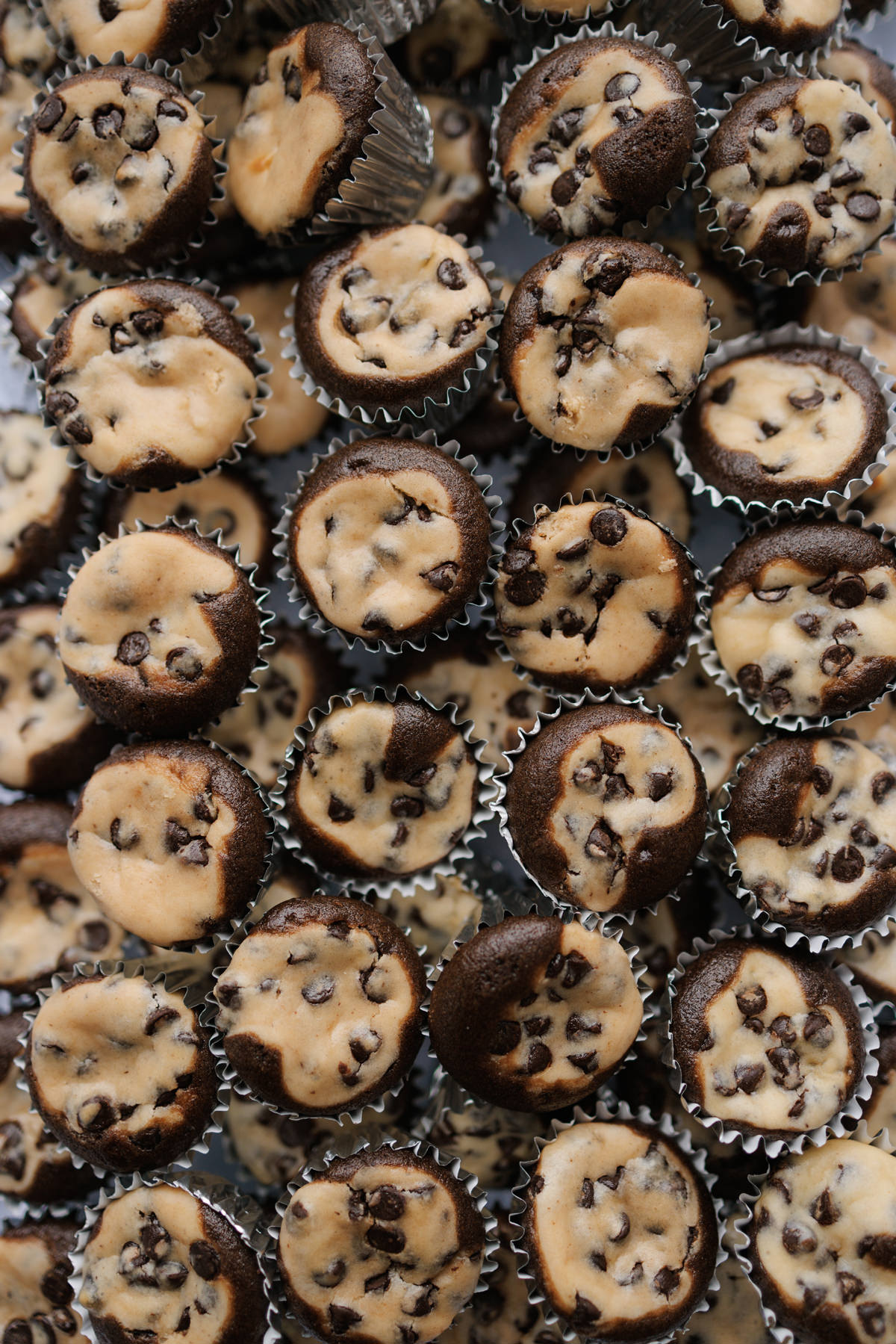 Horticulture Building Wedding Ottawa