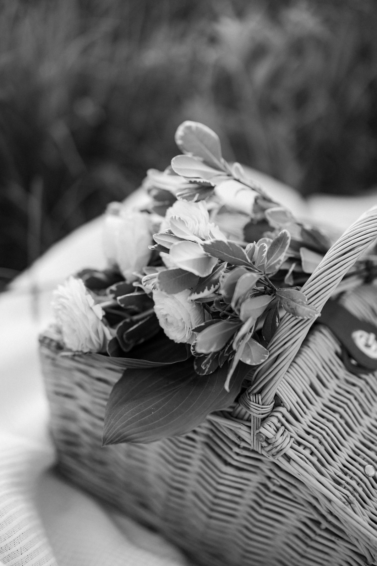 Romantic Engagement Shoot Gatineau Park Wakefield (14)